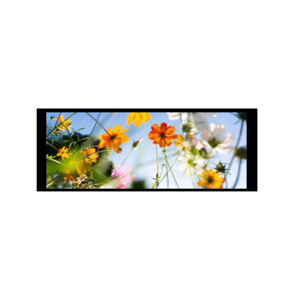 6.86 pulgadas 480 × 1280 módulo IPS TFT