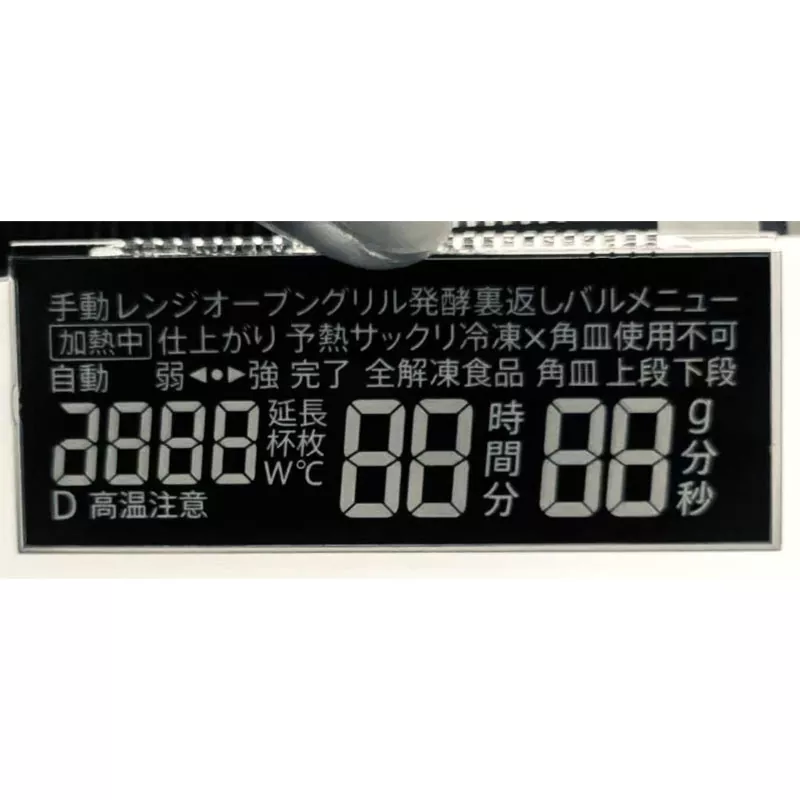 Módulo LCD del segmento VA